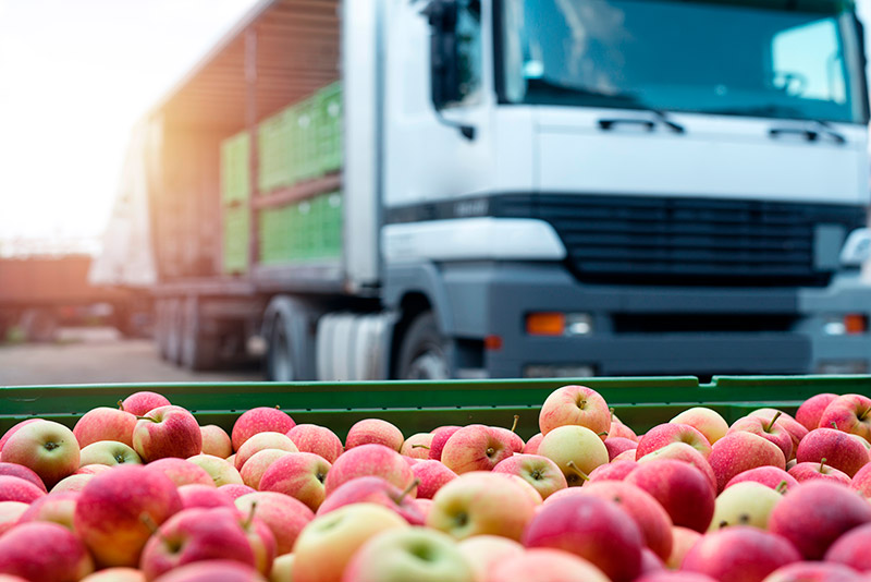 Transporte de frutas y verduras